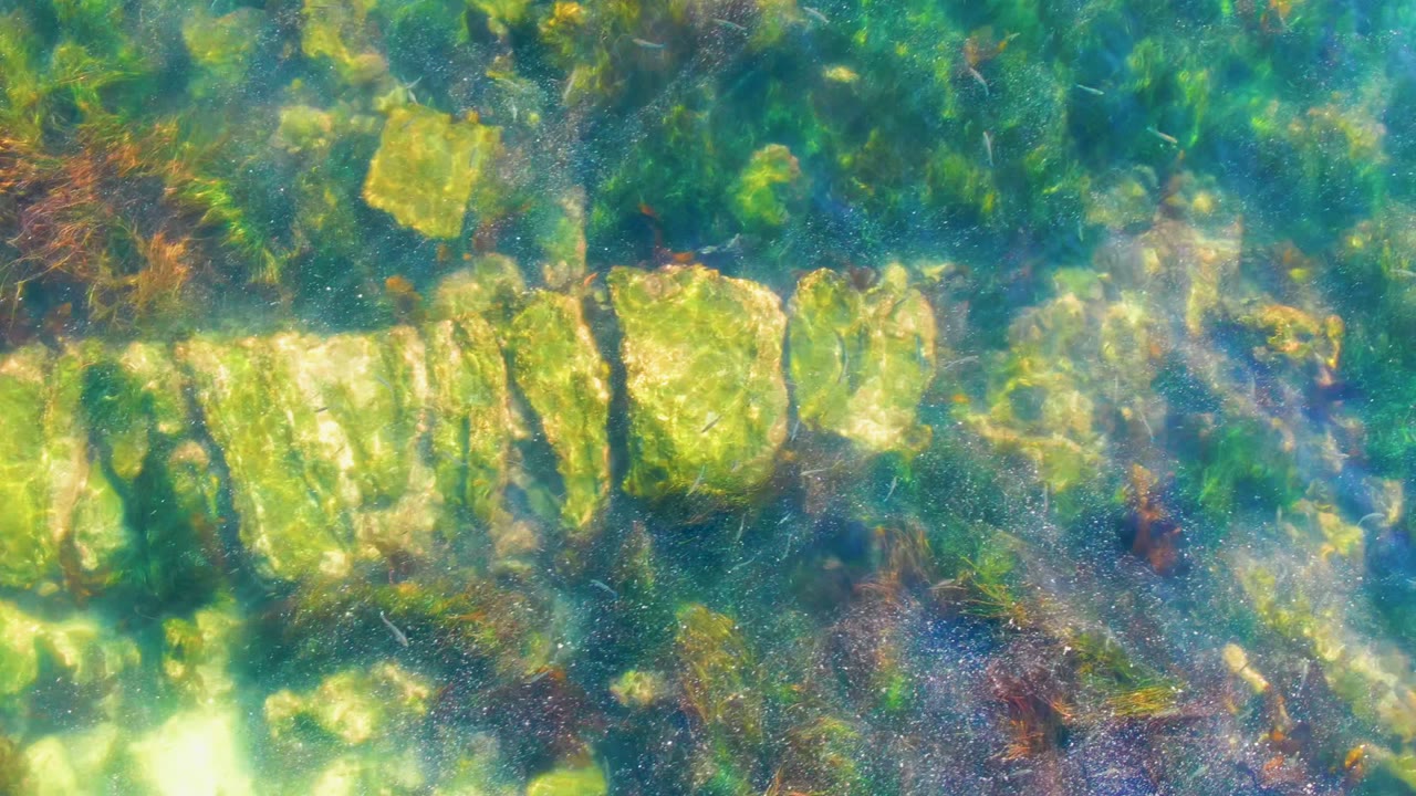 Submerged stone blocks distorted by clear moving water