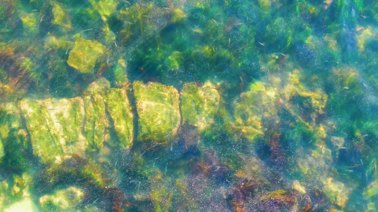 At 0:02, pale rectangular stones sit beneath shallow green water in La Bocana, surrounded by algae and wavering light, with no visible people.