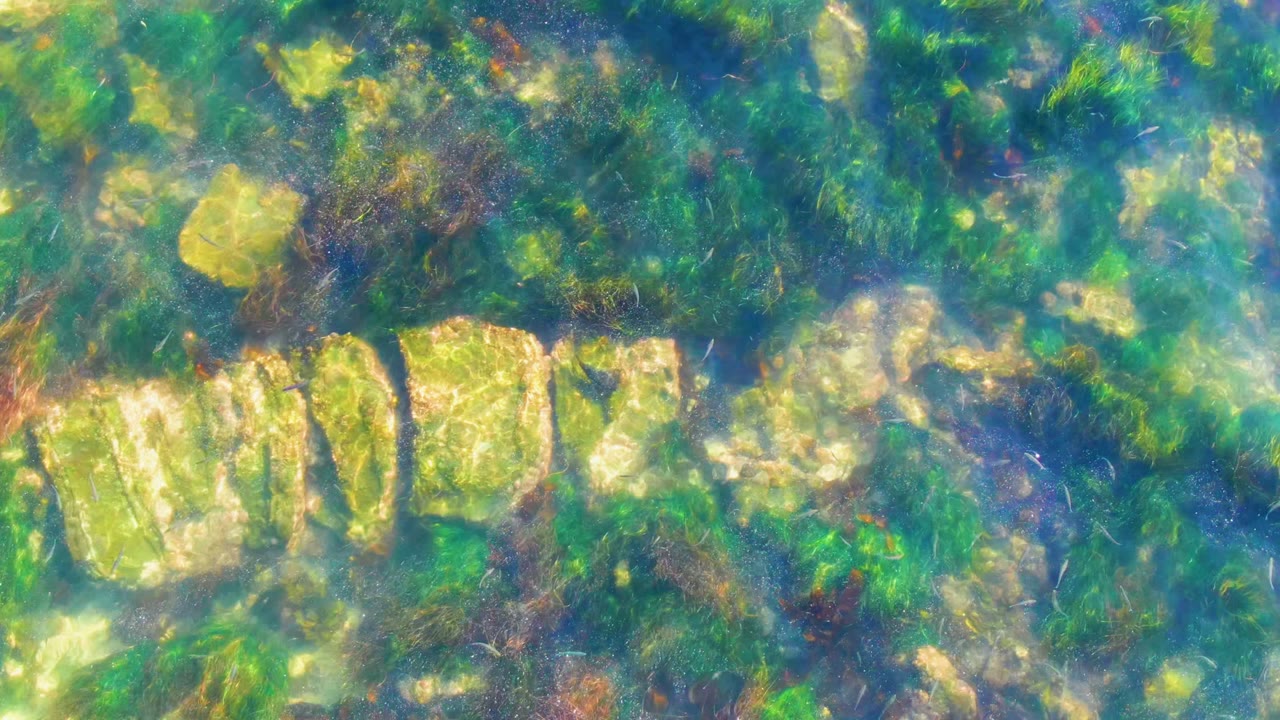 Opening underwater frame from La Bocana shows pale rocks and green algae under rippled blue-green water, with no visible people.
