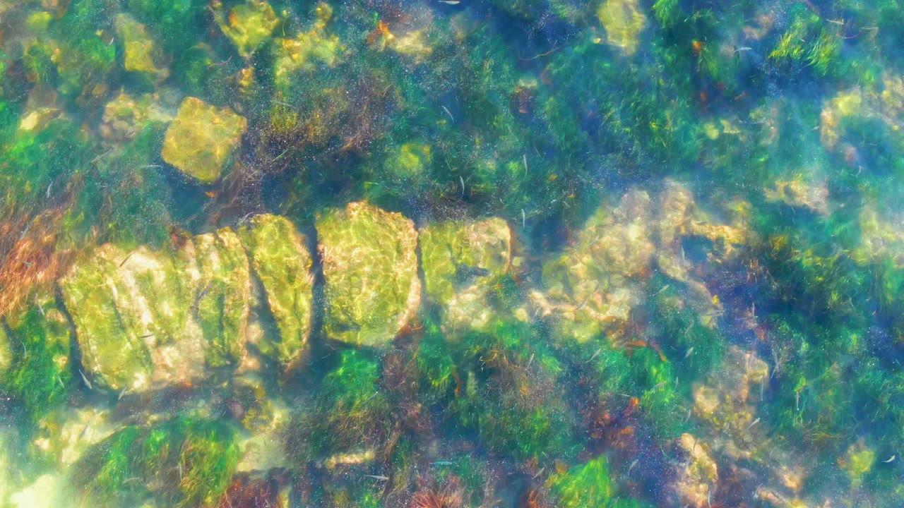 Pale seabed rocks seen through moving blue-green water