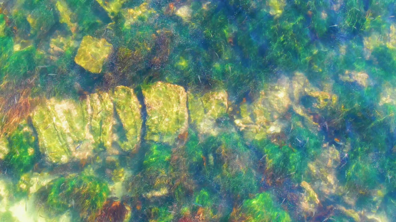 At 0:02, green algae and light-colored rocks fill the underwater view in La Bocana, with stronger ripple shimmer across the frame and no visible people.