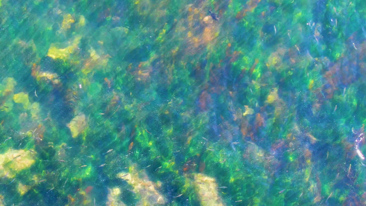 Clear blue-green water in La Bocana, Baja California Sur reveals submerged seagrass, algae, and pale rocks across the seabed, with no visible people.