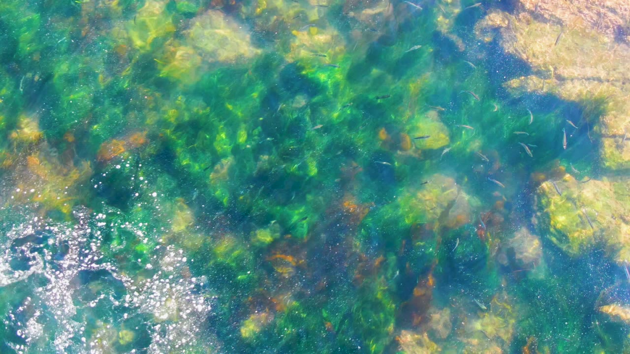Clear blue-green shallow water at La Bocana, Baja California Sur shows seaweed, submerged rocks, bright surface sparkles, and no visible people.