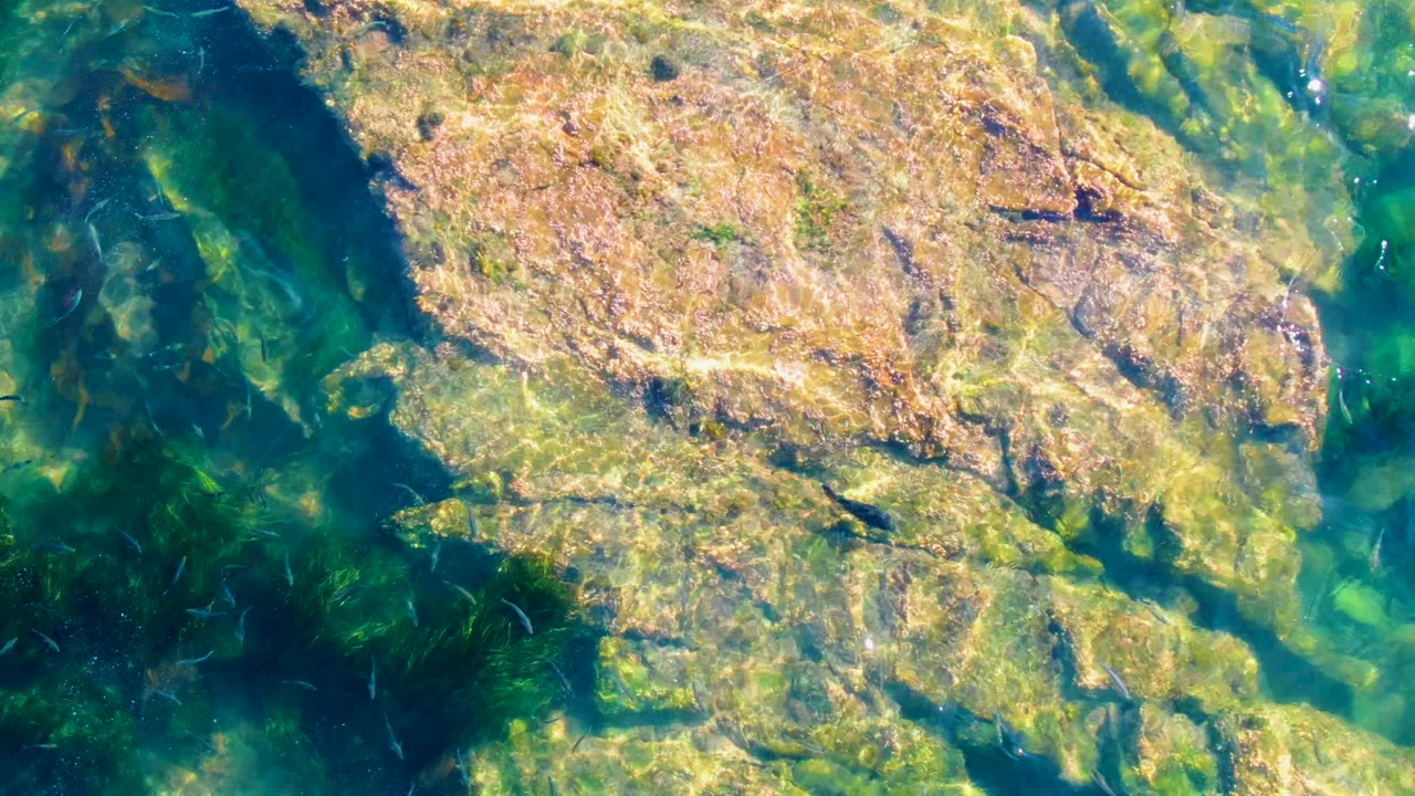 A top-down frame of La Bocana shallow water shows tan rock slabs, darker plant growth, and rippled sunlight, with no visible people.