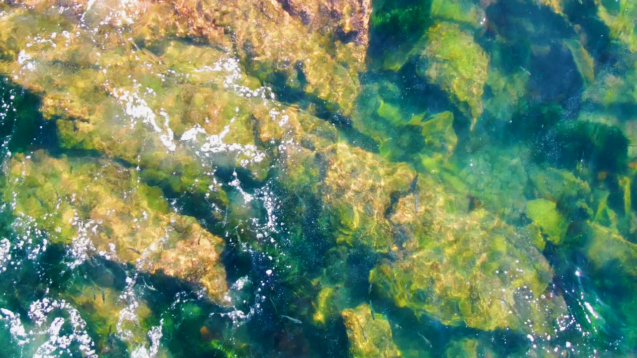 Overhead view in La Bocana, Baja California Sur, Mexico, showing clear green-blue water over algae-coated rocks with white surface bubbles near the left edge and no visible people.