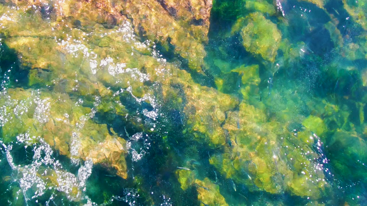 Turquoise water and algae-covered rocks with ripples and bright sun glints.