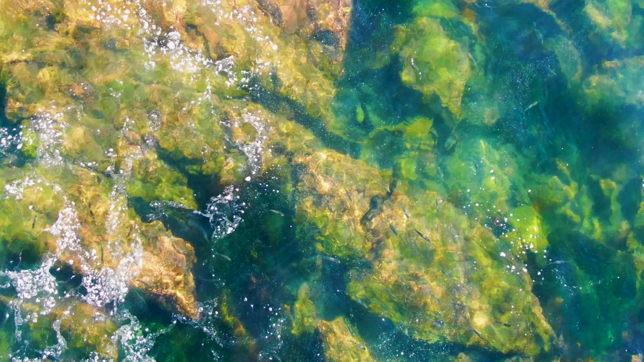 Straight-down view in La Bocana with darker blue water channels between algae-covered rocks, a small white foam patch near center, and no visible people.
