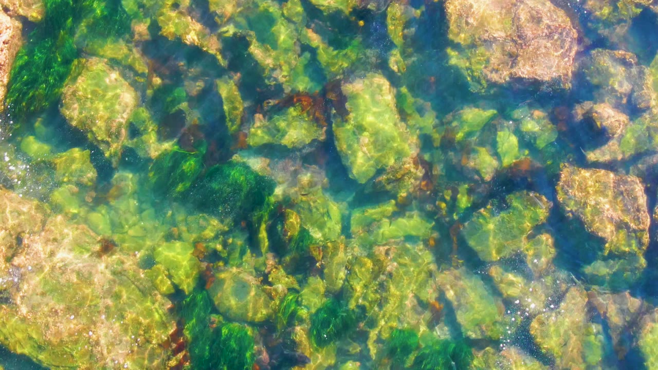 Clear shallow water in La Bocana, Baja California Sur reveals tan rocks, green algae, and bright surface reflections with no visible people.