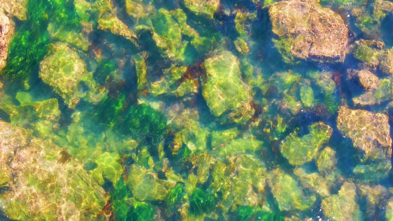 Rippling turquoise water above submerged rocks