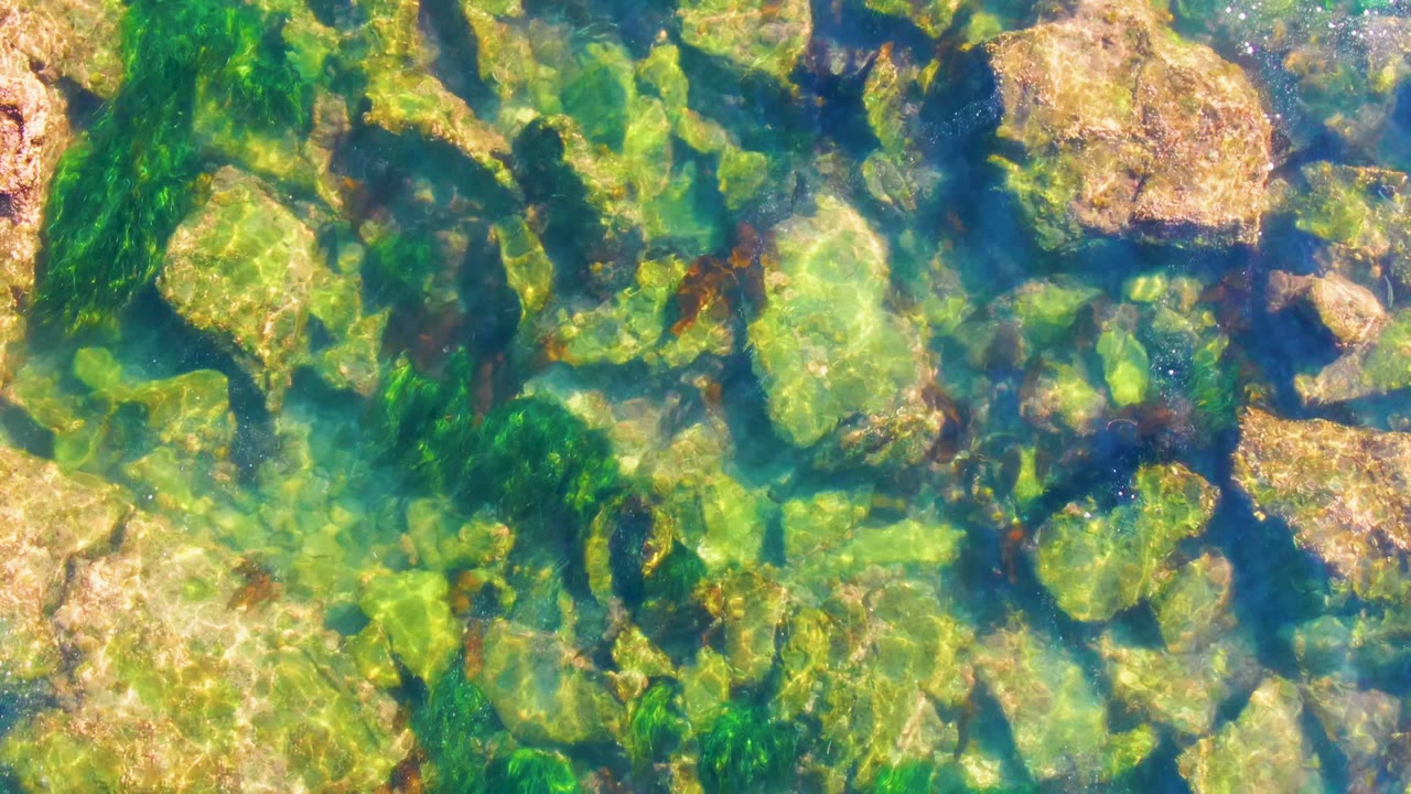 Sunlit shallow water in La Bocana, Baja California Sur shows pale rocks, green algae streaks, and wavering light patterns with no visible people.