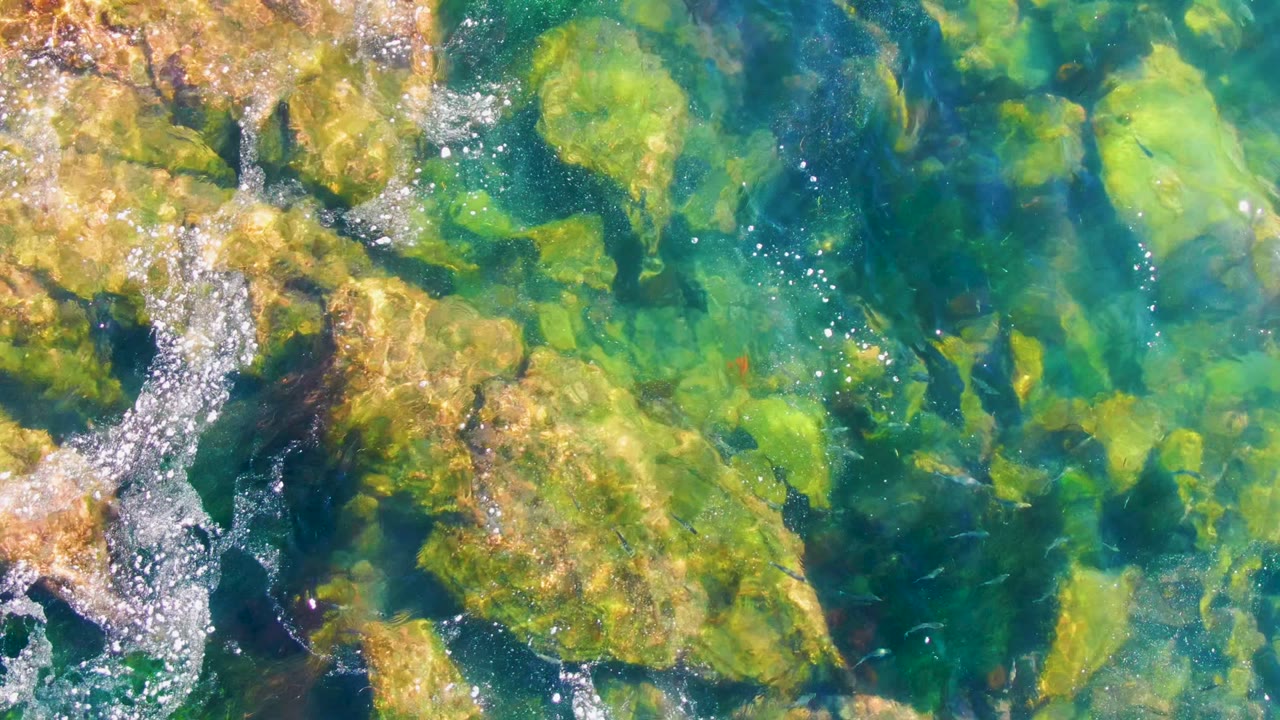 Overhead view in La Bocana, Baja California Sur, showing clear blue-green water passing over green algae on tan rocks, with no visible people.