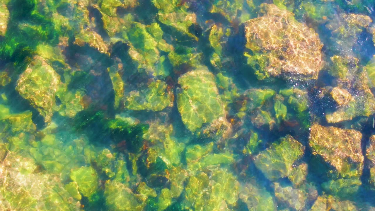 Straight-down La Bocana frame with sunlit green-blue water, rounded algae-covered stones, and bright ripple patterns around tan rock surfaces, with no visible people.