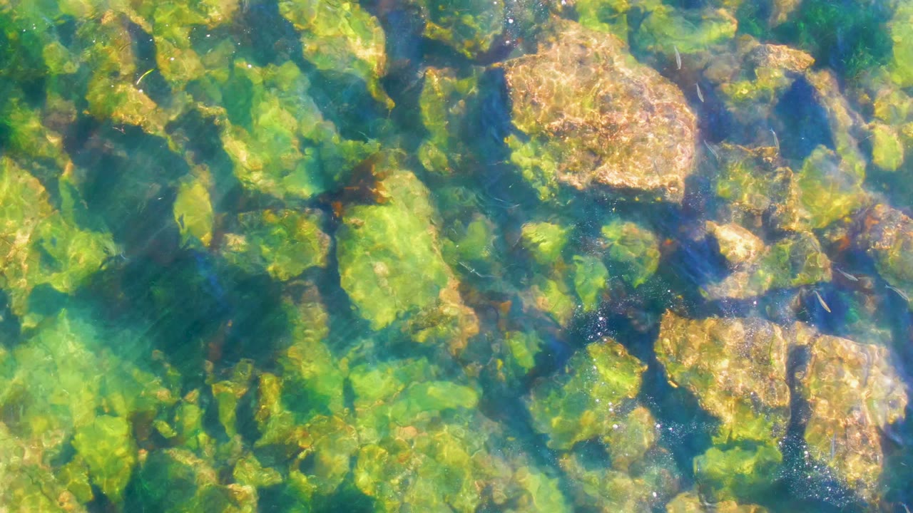 Clear green-blue water passes over algae-covered rocks in La Bocana, Baja California Sur, with tan stones near the upper frame and no visible people.