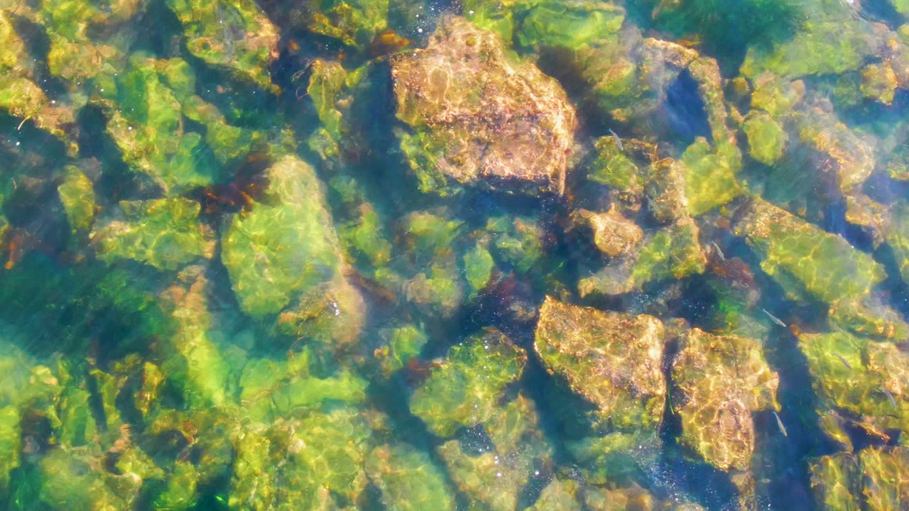 Sunlit tan and green rocks sit beneath clear water in La Bocana, Baja California Sur, with darker gaps between stones and no visible people.