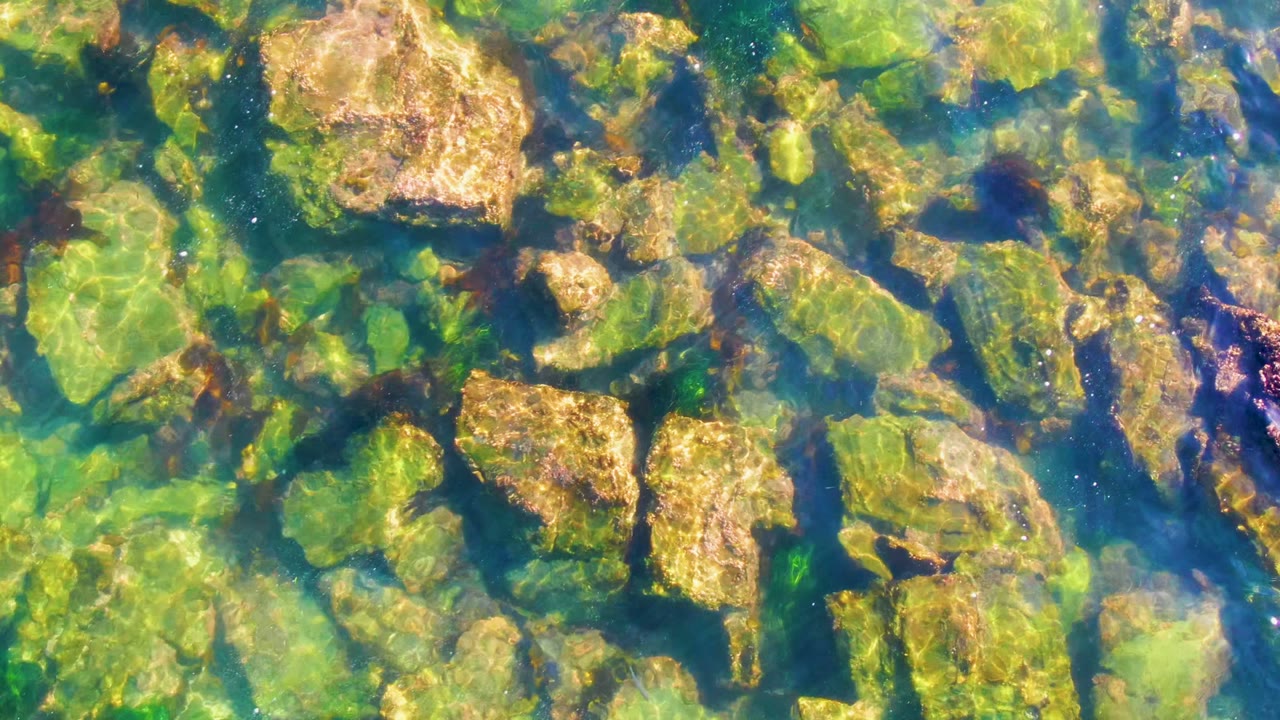 Overhead view of clear blue-green water flowing across tan and green rocks in La Bocana, Baja California Sur, with no visible people.