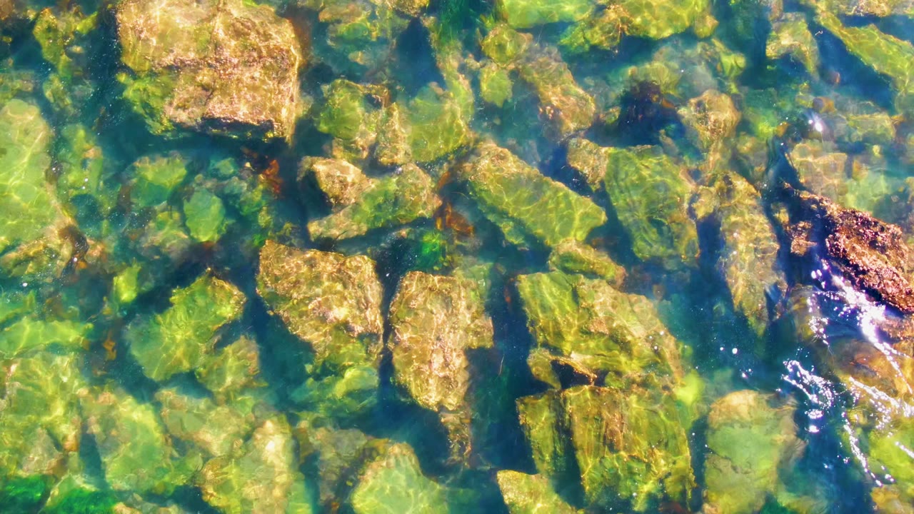 A top-down frame shows blue-green shallow water, scattered tan rocks, darker algae patches, and no visible people in La Bocana, Baja California Sur.