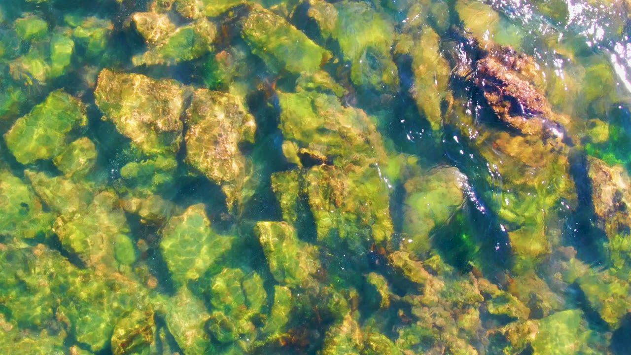 At 0:00, clear shallow water in La Bocana, Baja California Sur reveals green algae on tan rocks, with bright ripples near the top of frame and no visible people.