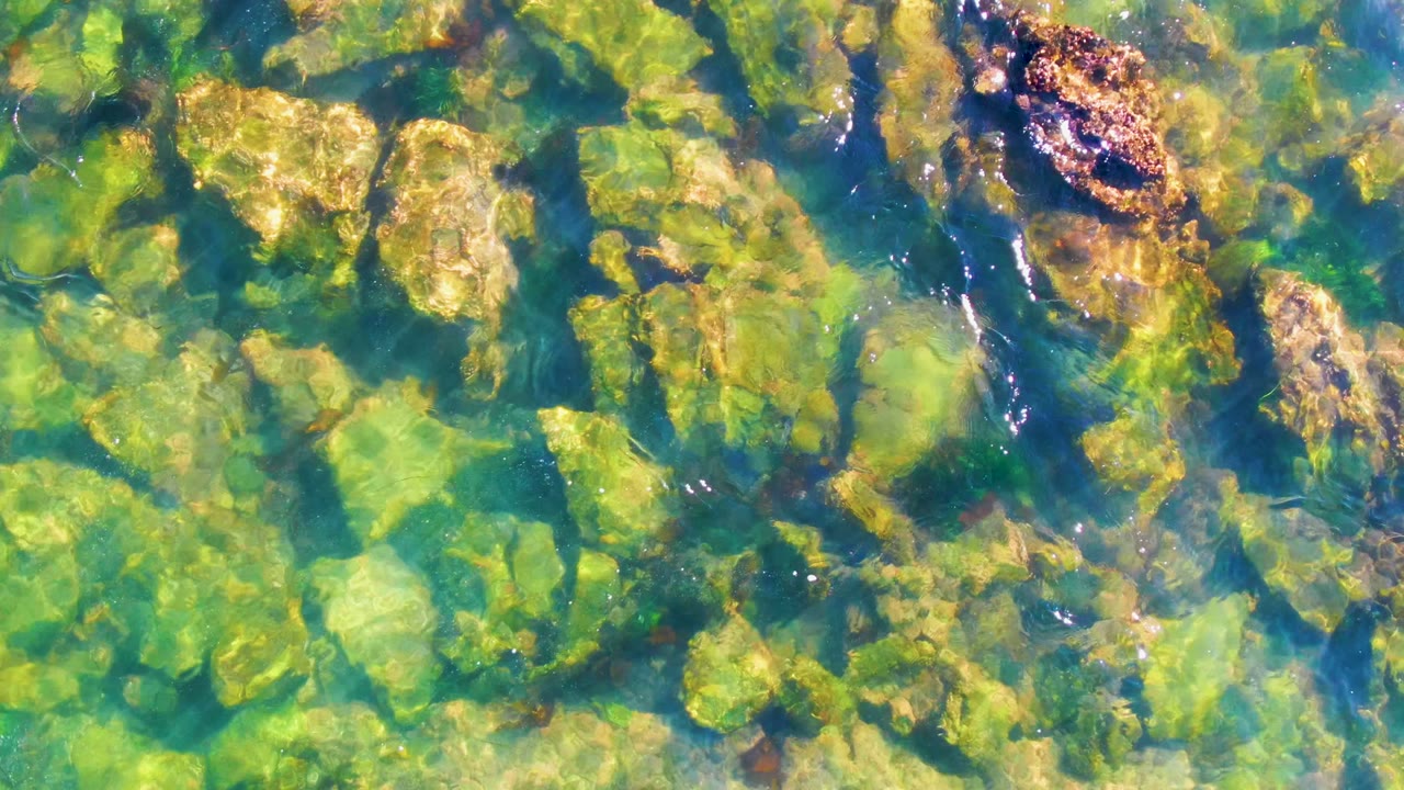 At 0:02, sunlit clear water crosses a dense patch of algae-covered rocks in La Bocana, with small reflective streaks and no visible people.