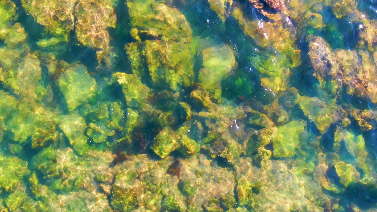 Clear shallow water in La Bocana, Baja California Sur shows green algae and tan rocks beneath rippled sunlight, with no visible people.