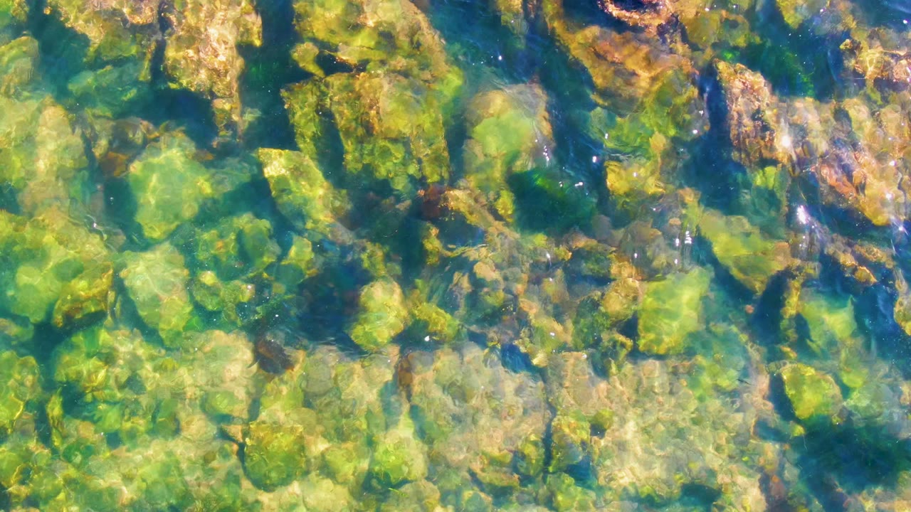 Green algae and submerged rocks under rippled water
