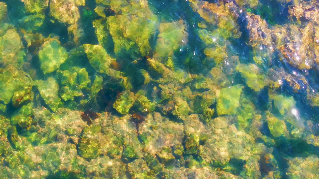 Sunlit tan rocks and patches of green algae fill the frame beneath clear green-blue water in La Bocana, with no visible people.