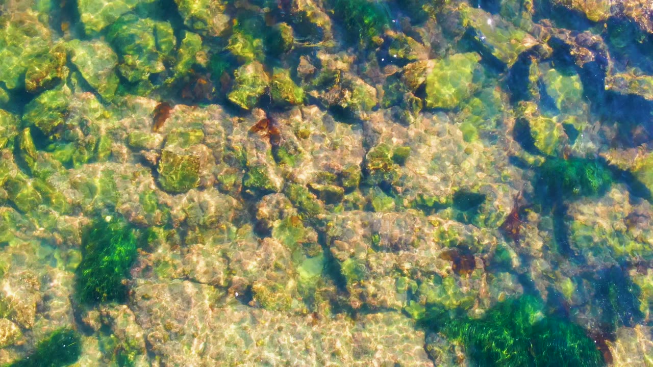 Clear shallow water in La Bocana, Baja California Sur shows pale rocks, green algae, and dark seaweed patches with no visible people.