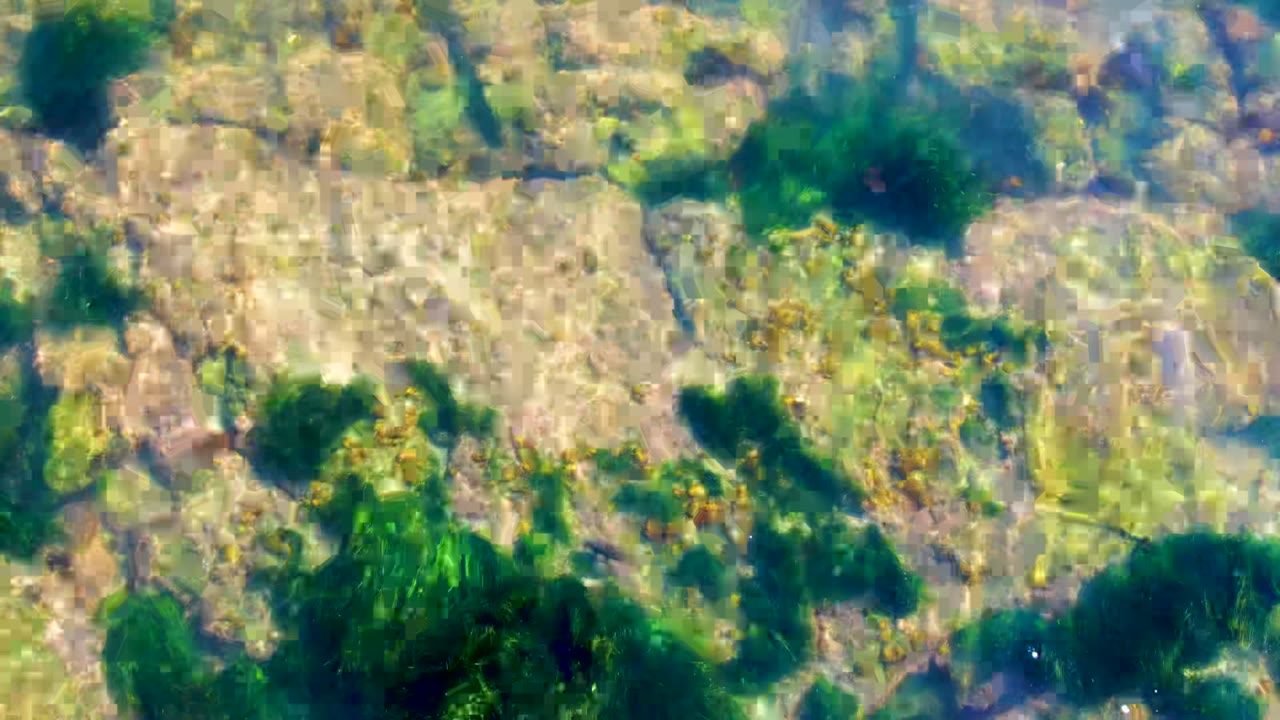 Clear shallow water in La Bocana, Baja California Sur shows pale submerged rocks, green seaweed patches, and bright surface ripples with no visible people.