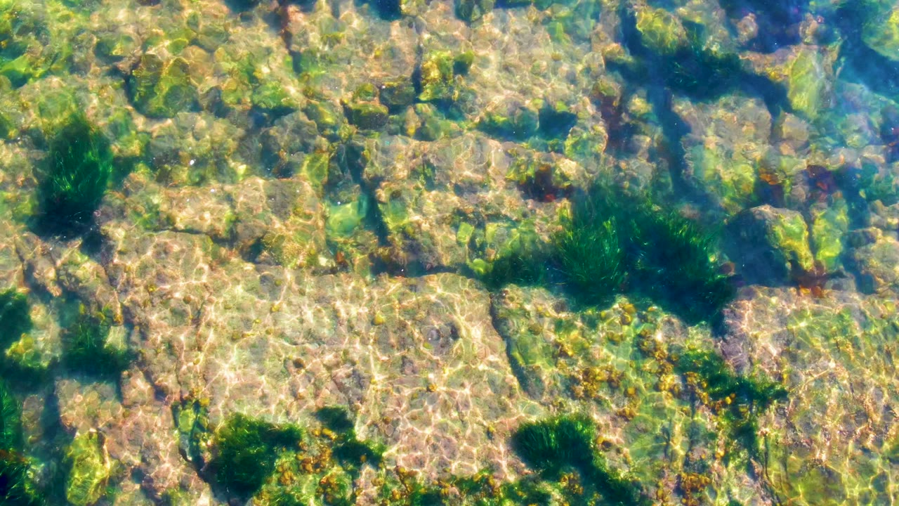 Sun ripples over submerged rocks with dark seaweed patches.