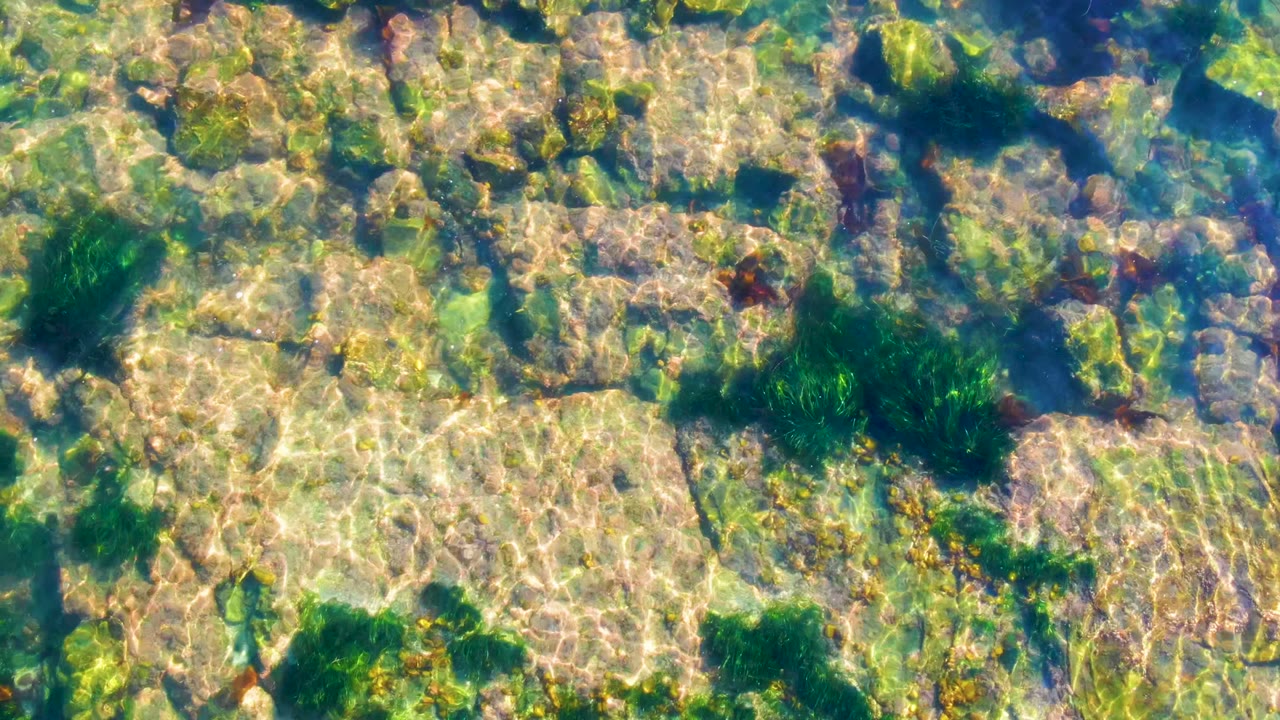 A top-down frame from La Bocana, Baja California Sur shows blue-green shallow water, pale stone slabs, and algae clusters under shifting sunlight, with no visible people.