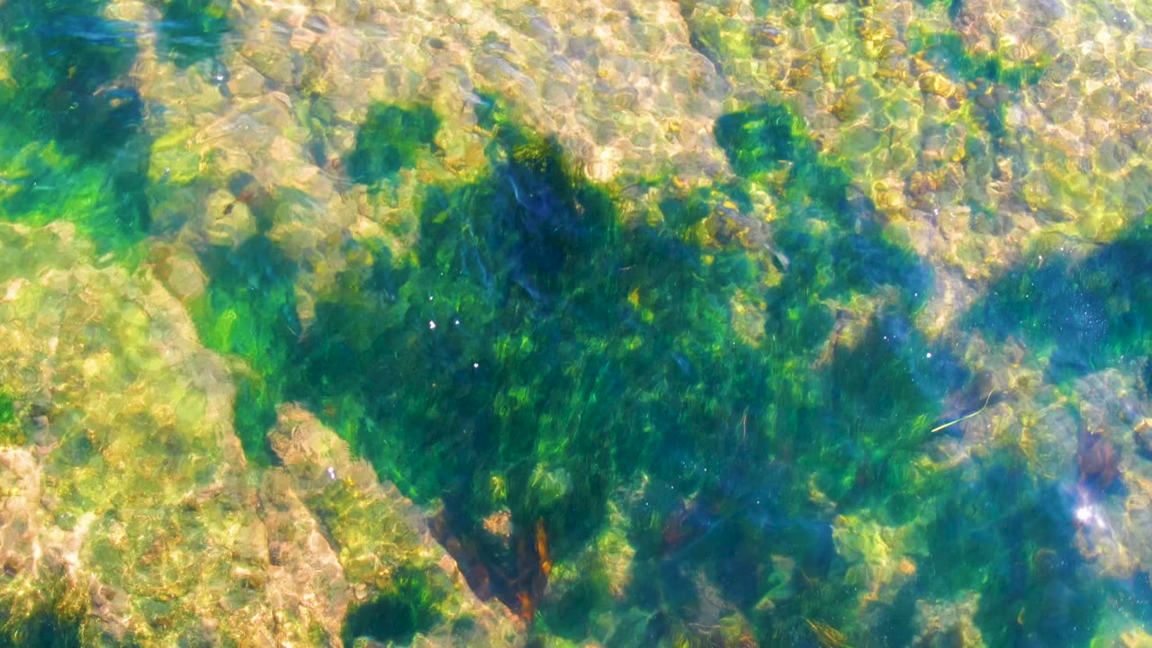 Clear blue-green water reveals irregular rock shapes and darker algae growth on the seabed in La Bocana, with no visible people.