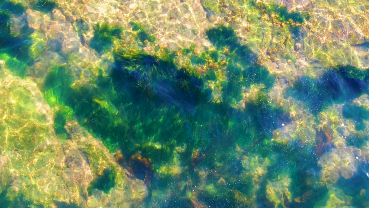 Clear water in La Bocana, Baja California Sur shows pale rocky seabed, dark green seaweed patches, rippled sunlight, and no visible people.