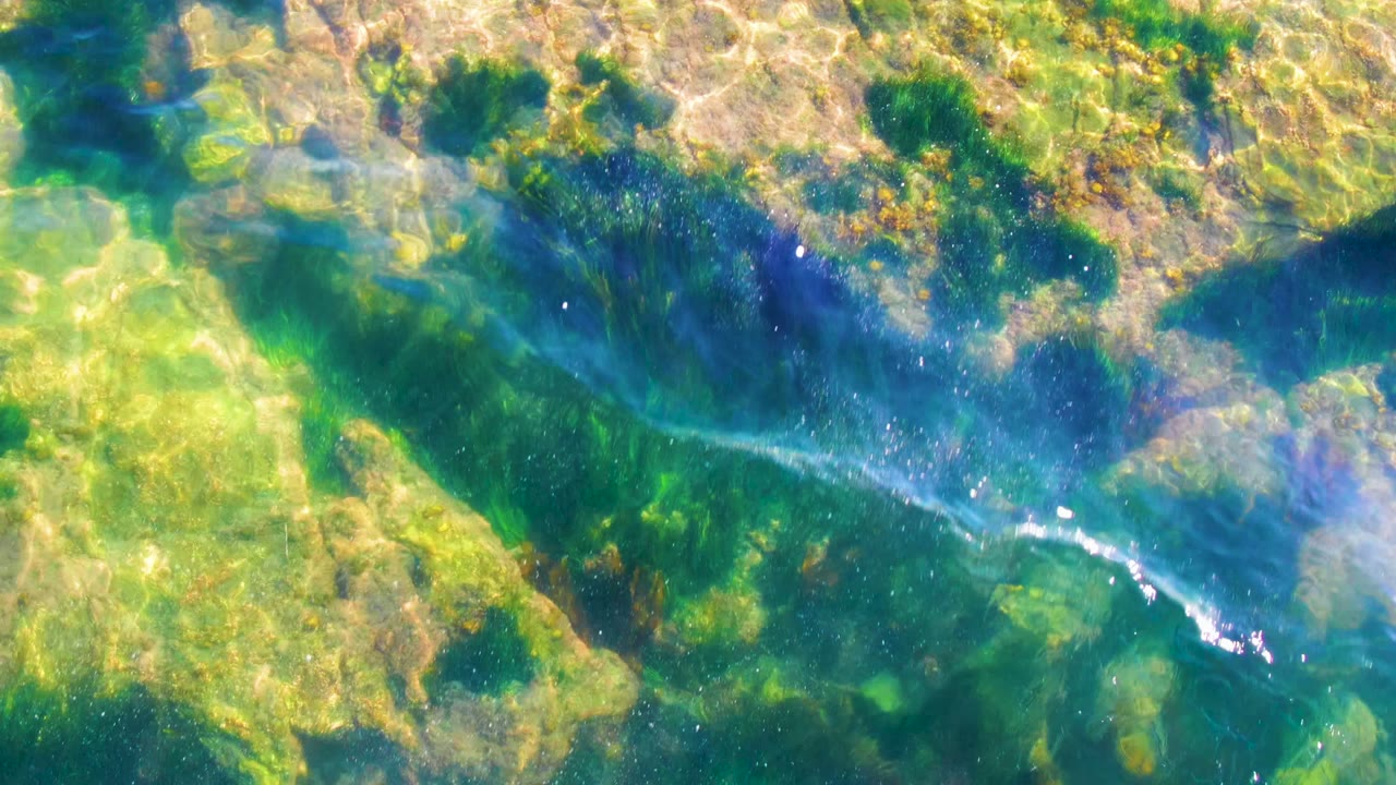 Rocky seabed with algae under rippled clear water