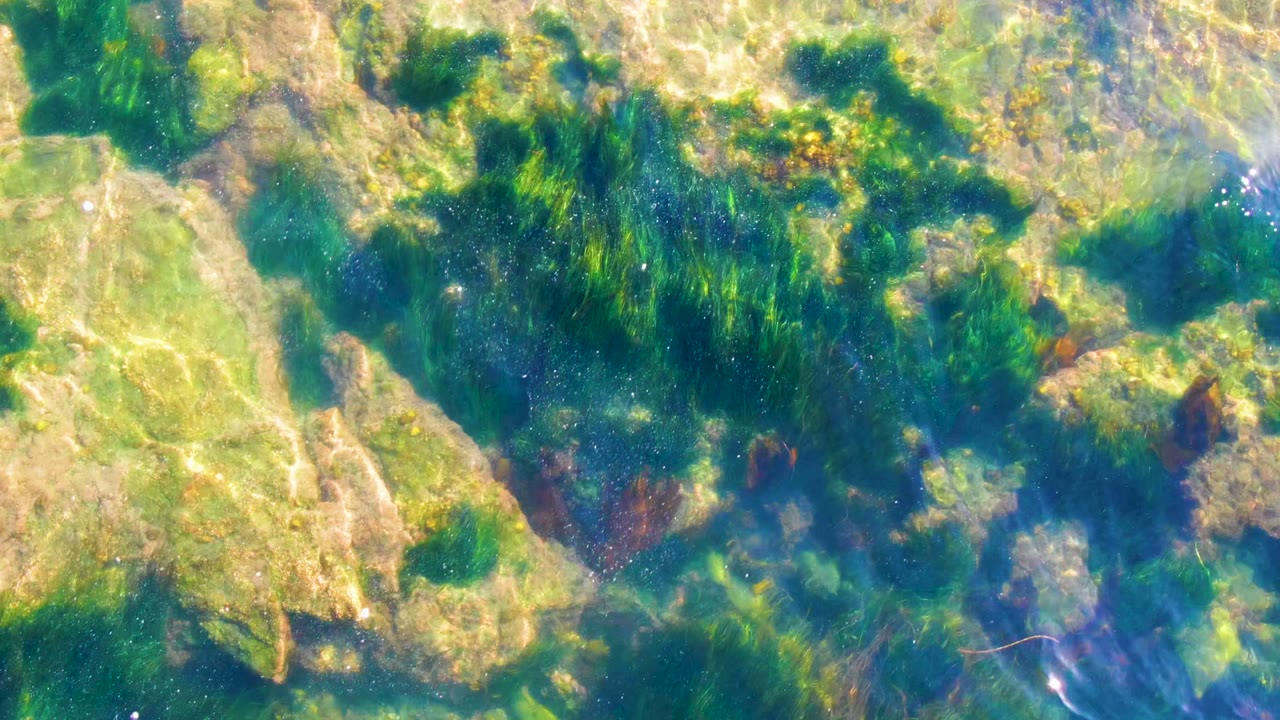 The frame shows La Bocana shallow water with a large pale rock area at left, darker seaweed above it, blue-green pools, and no visible people.