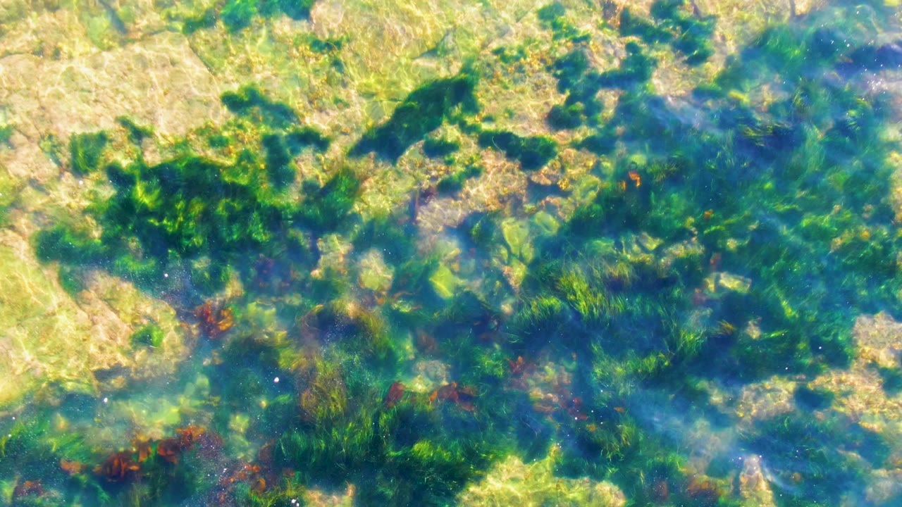 Rocky seabed under rippled clear water