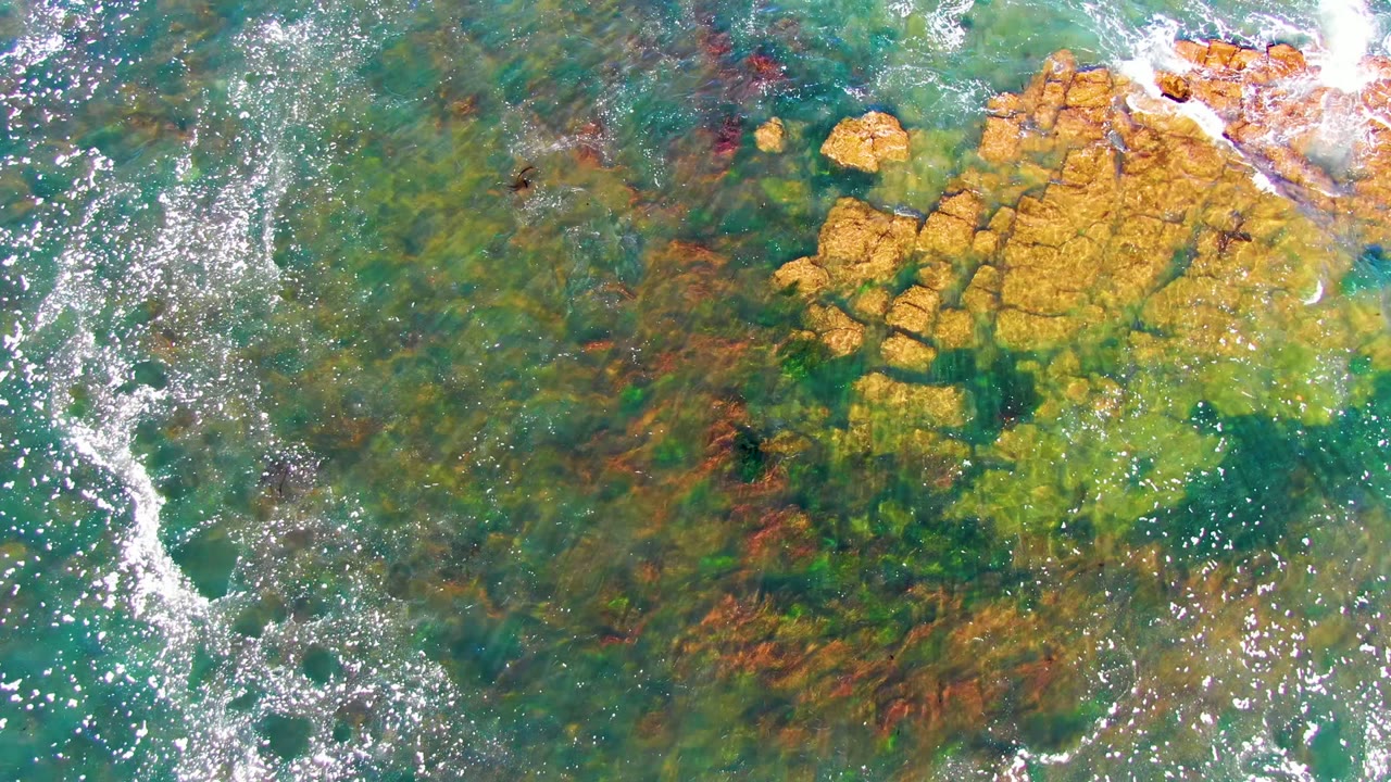 Overhead frame in La Bocana, Baja California Sur showing clear green-blue water, yellow rock shelves, brown algae patches, and no visible people.