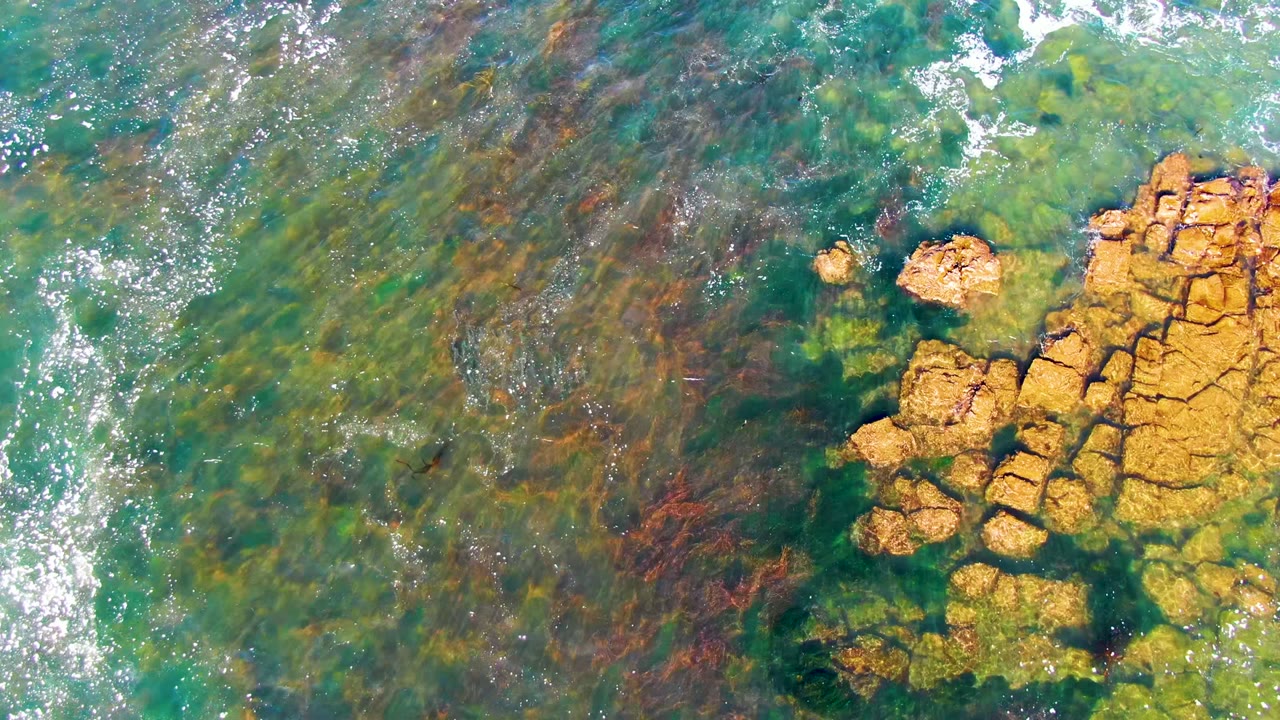 Overhead view of La Bocana clear green-blue water over submerged seabed and golden-brown rocks at the right edge, with white foam streaks and no visible people.