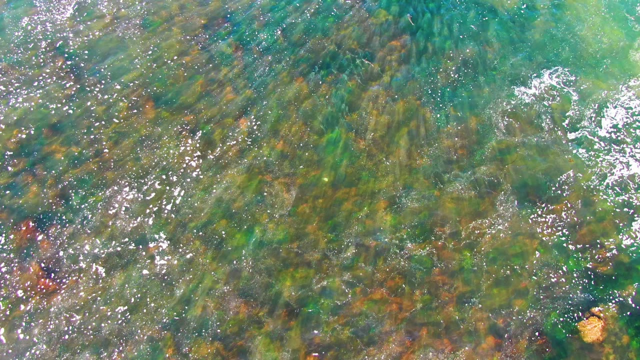 Clear shallow water in La Bocana, Baja California Sur shows green and brown aquatic plants beneath bright surface reflections, with no visible people.