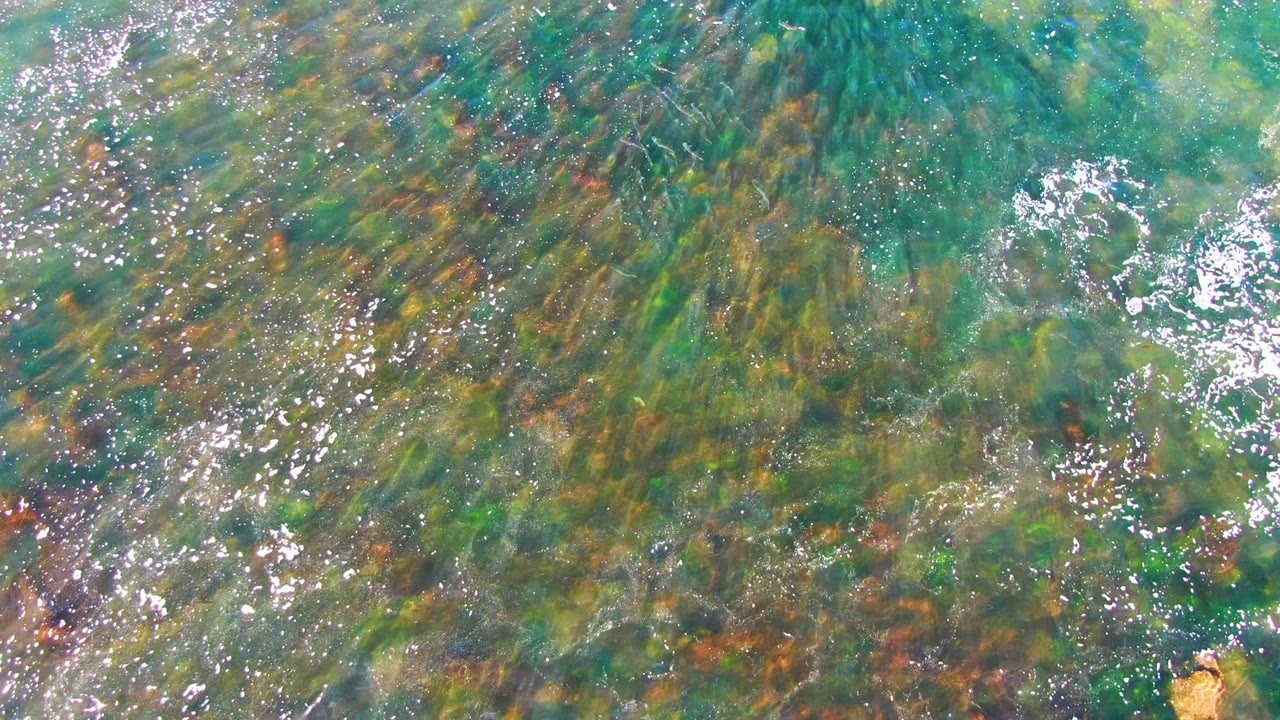 Turquoise shallow water with seaweed texture and small white bubbles.