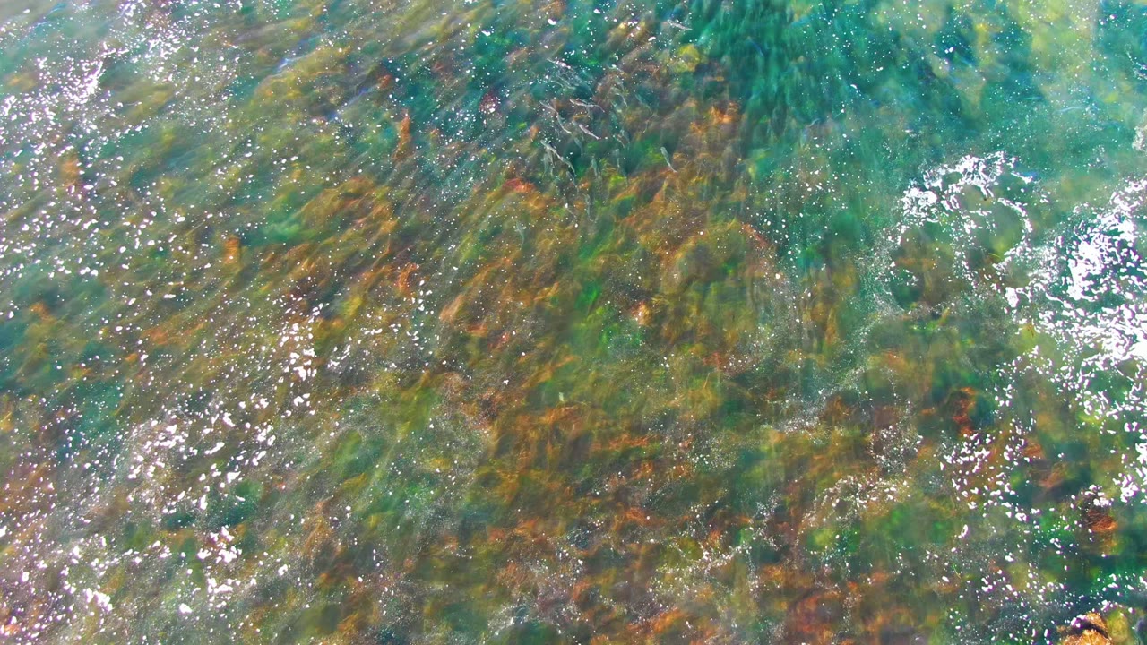 An overhead frame from La Bocana, Baja California Sur shows clear green water, brown algae tones, and bright foam flecks on the surface, with no visible people.