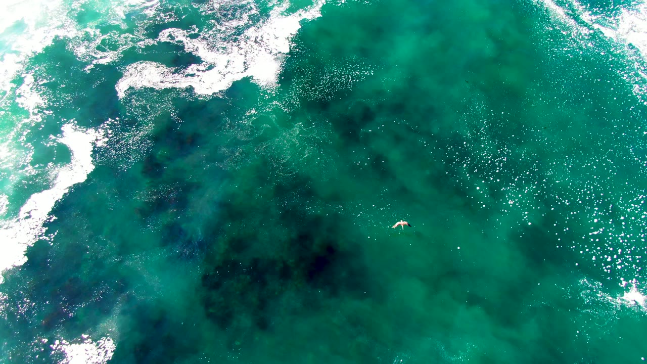 Turquoise sea surface with foamy wave edge and bright sun sparkle.
