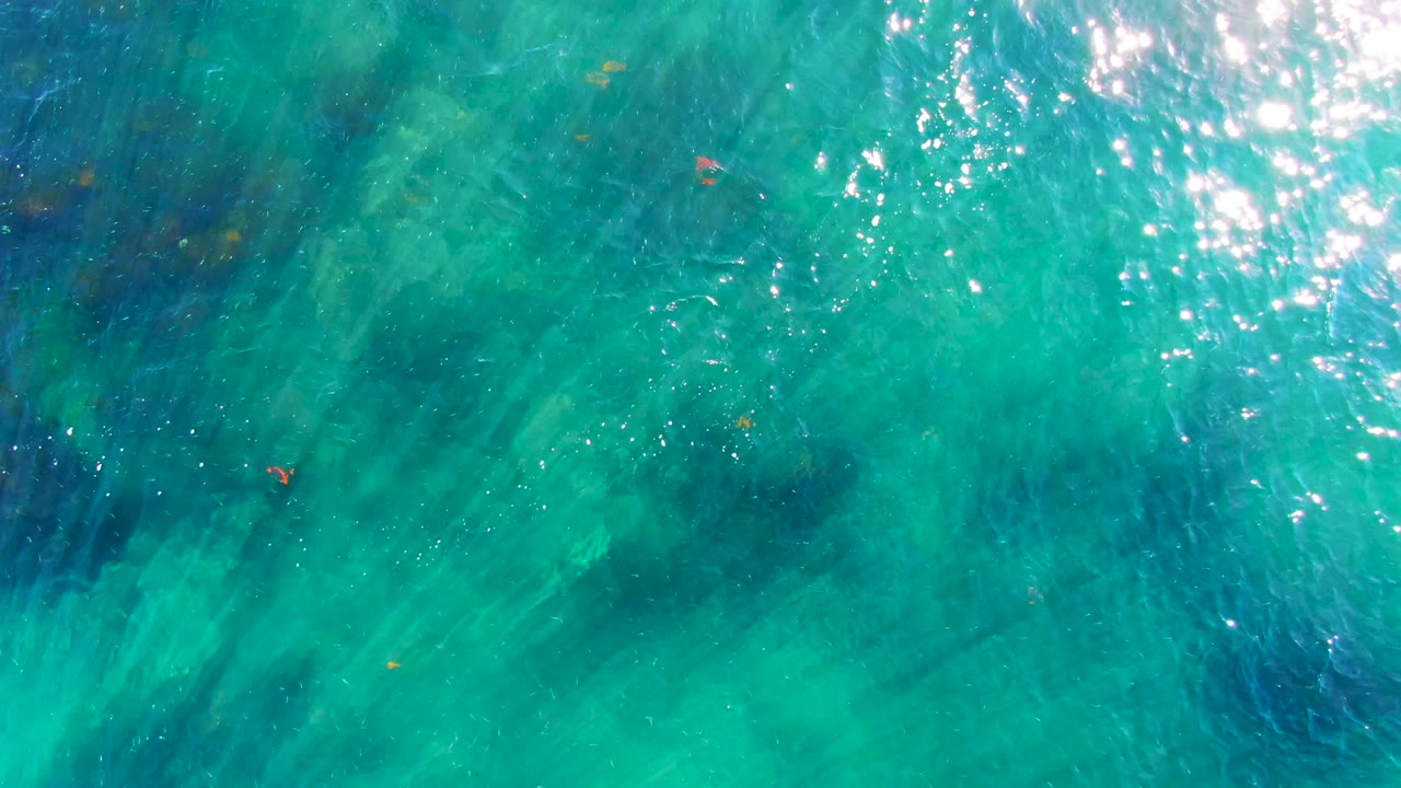 A white seabird appears farther across the blue-green ocean surface in La Bocana, Baja California Sur, with bright reflected light and no visible people.