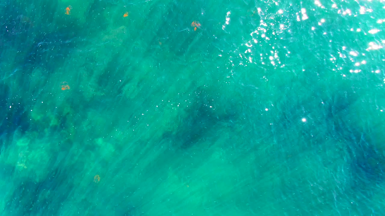 Overhead view of turquoise water in La Bocana, Baja California Sur, with small orange floating objects near the surface, dark submerged patches, and no visible people.