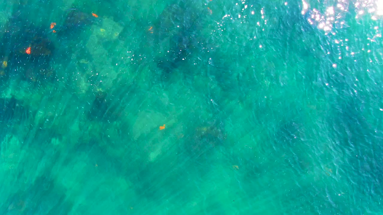 Overhead view of clear turquoise water in La Bocana, Baja California Sur, with small orange fish near darker underwater patches and no visible people.