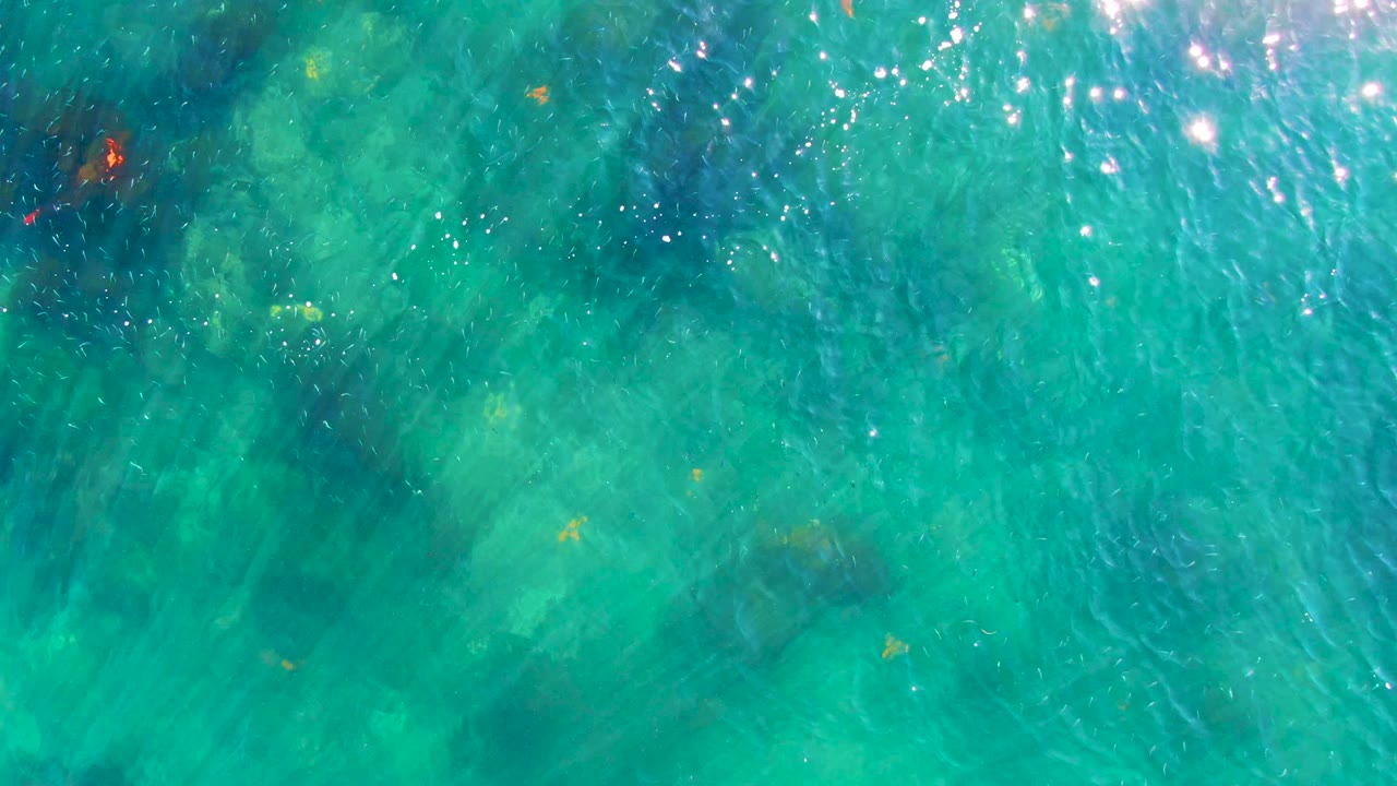 An overhead frame from La Bocana shows turquoise shallow water, a few small fish, darker submerged patches, and no visible people.