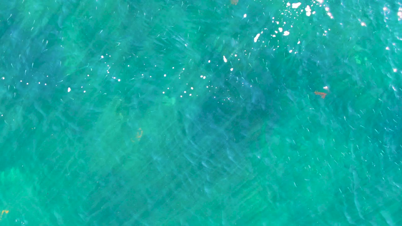Clear turquoise water in La Bocana shows soft seabed shapes under ripples, with a few orange fish higher in the frame and no visible people.