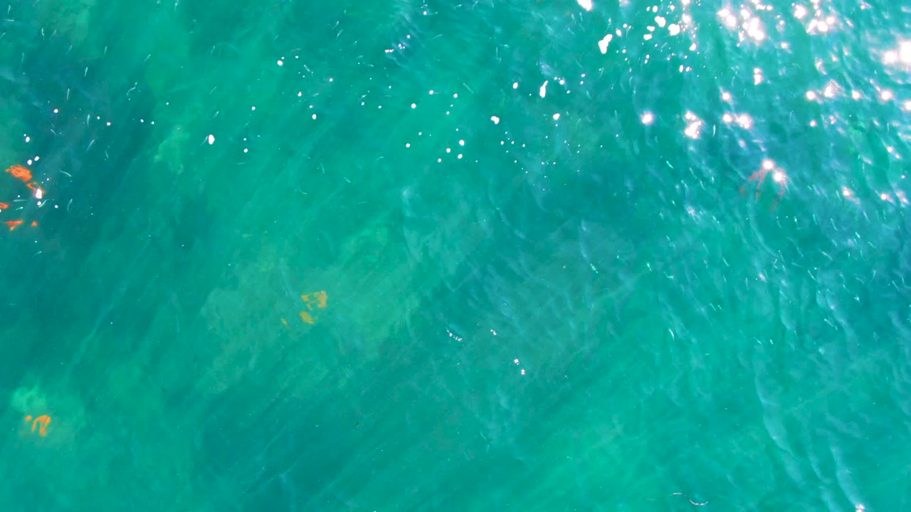 A top-down La Bocana water frame shows bright sun flecks, green-blue seabed tones, and small orange fish spread through the center, with no visible people.