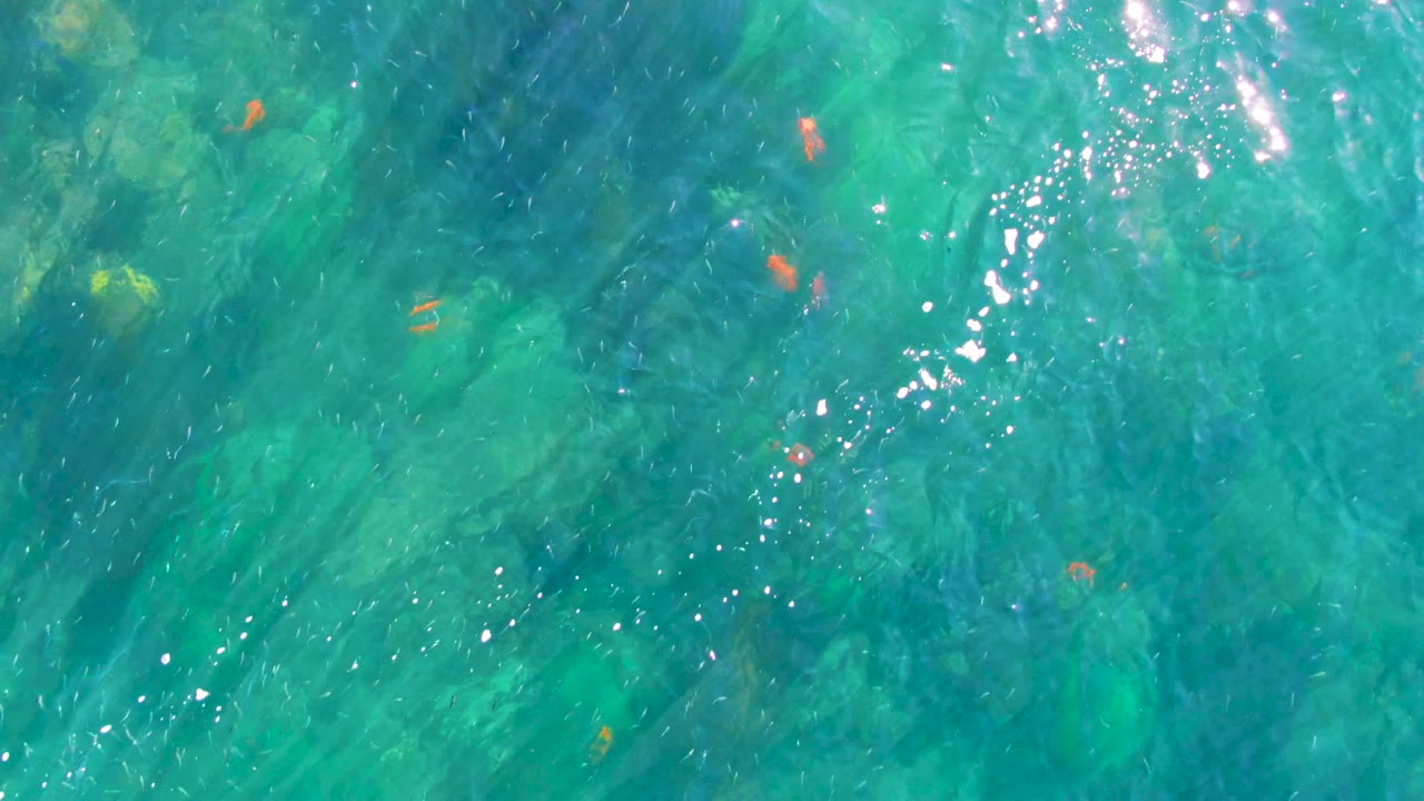 Top-down view of clear turquoise water in La Bocana, Baja California Sur, with small orange fish near the surface, bright sun glints, and no visible people.