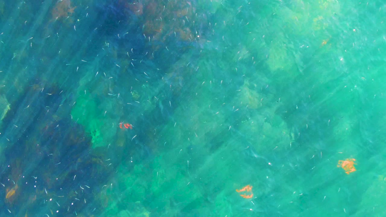 Blue-green water with a dark vertical underwater patch and bright glints