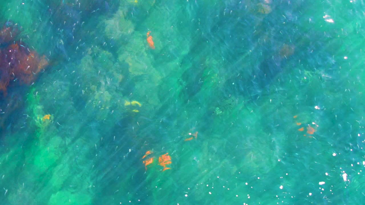 Overhead water detail from La Bocana showing a dark submerged patch under turquoise ripples with a few orange fish nearby, no visible people.