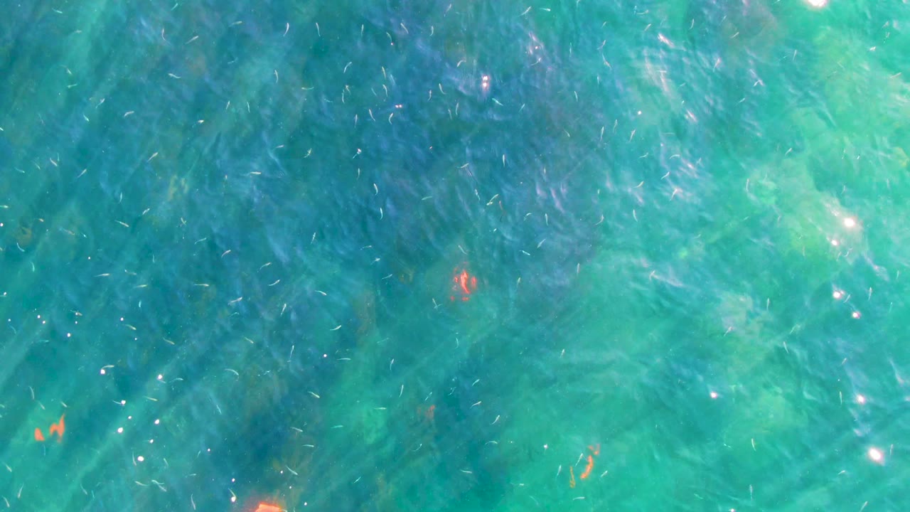 Top-down view of clear turquoise water in La Bocana, Baja California Sur, with tiny fish specks, faint seabed patches, bright surface ripples, and no visible people.